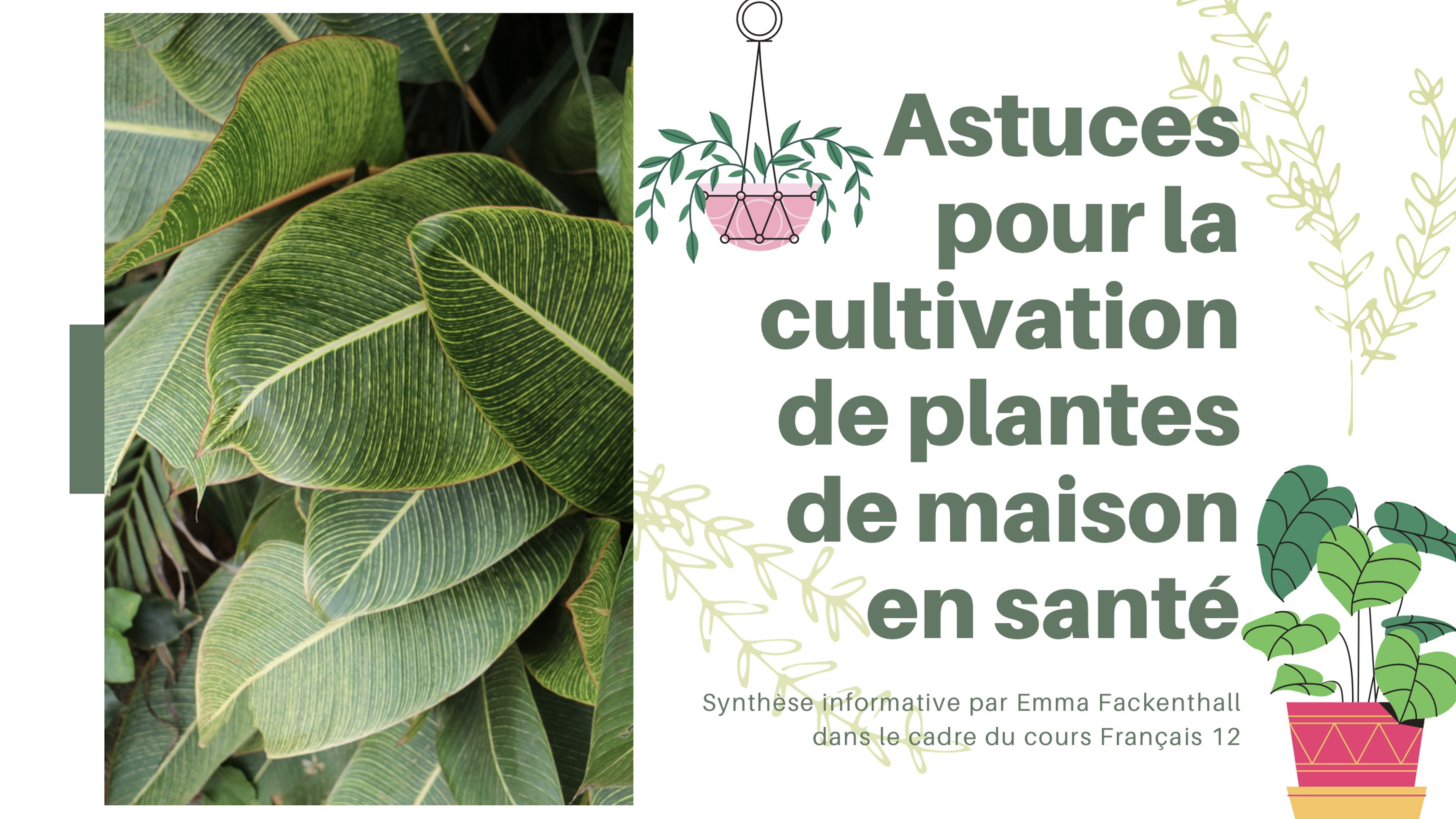 2020 FRAN12 Astuces pour la cultivation des plantes de maison en santé